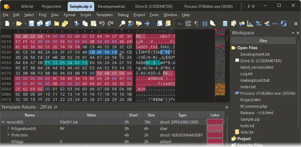 010 Editor showing Sample.zip in a hex view, ZIP Binary Template results and the Workspace panel.