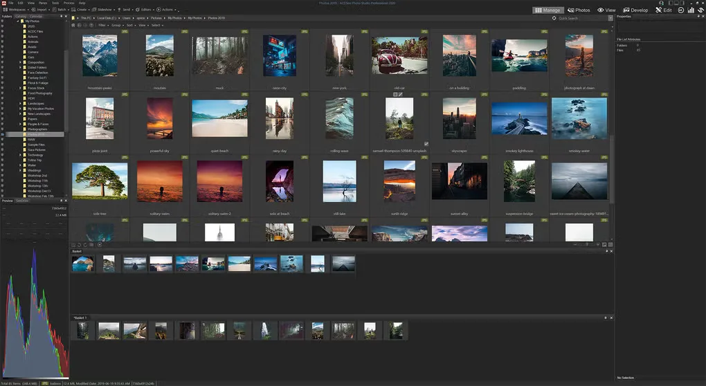 Older ACDSee Photo Studio Professional Manage interface with photo thumbnails, folders, image baskets and a Properties pane; not the 2027 release.