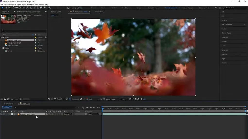 Adobe After Effects 2020 on Windows showing autumn-leaf footage in the composition viewer, project panel and layer timeline.