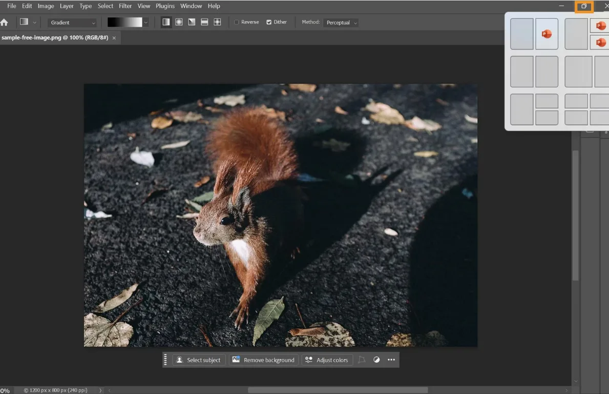 Photoshop for Windows editing a squirrel photo, with its Contextual Task Bar and Windows Snap Layout menu visible.