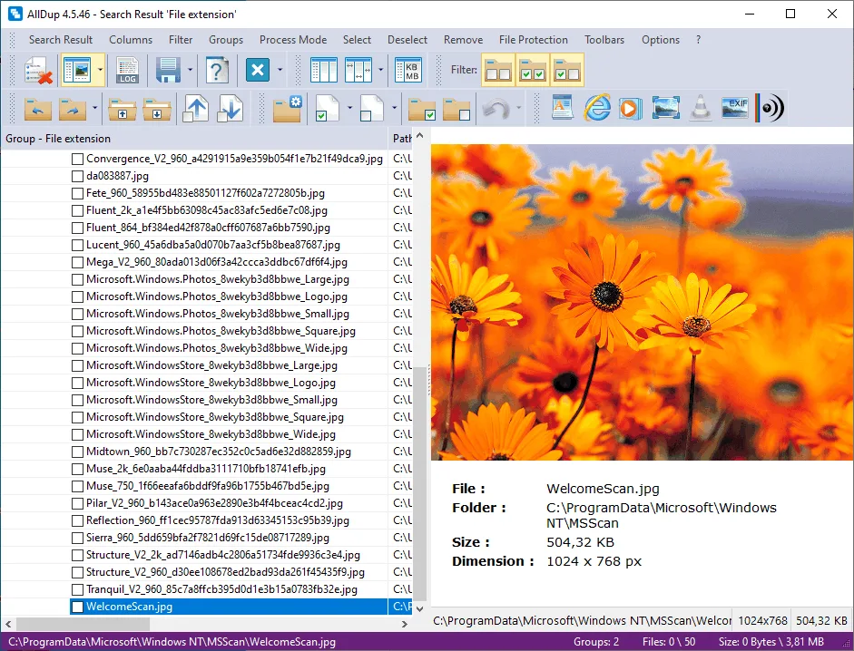 AllDup 4.5.46 search results with a file list and a preview of an orange-flower photo