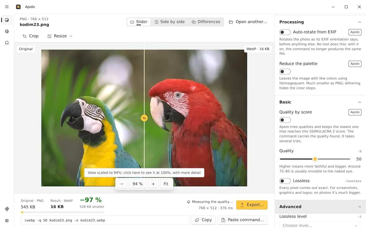 Apolo Windows Studio comparing a parrot image with its WebP output, with quality controls and an Export button.