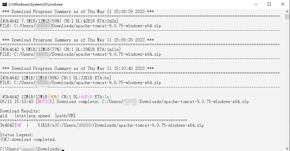 Historical Windows cmd.exe screenshot of aria2 download progress and completed results, from Viifo’s 1.36.0 tutorial.