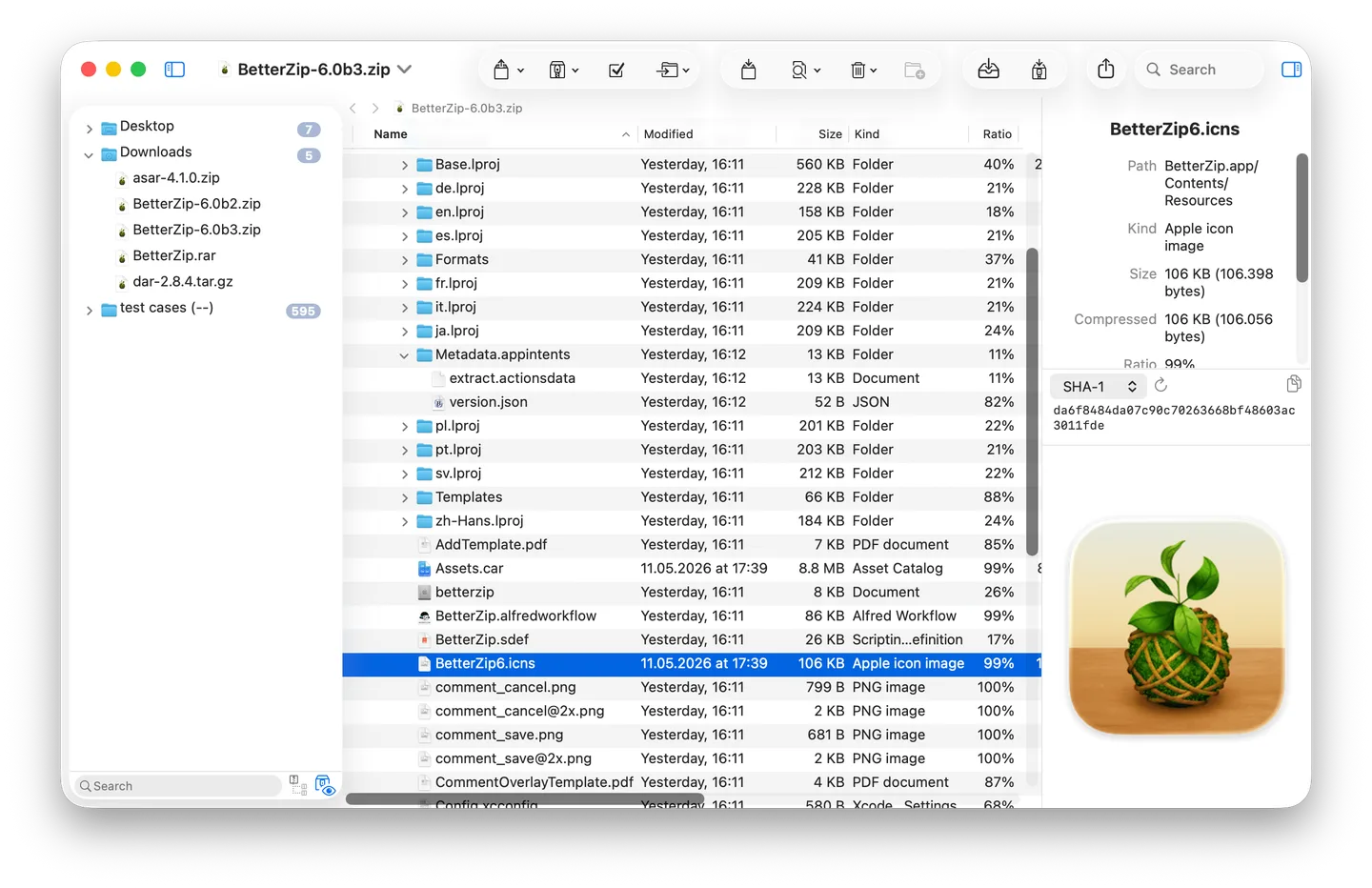 BetterZip 6 on Mac showing an archive folder tree, file list and selected file preview in the right sidebar
