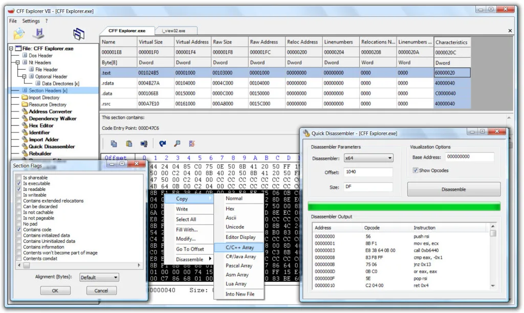 CFF Explorer showing PE section headers, a hex editor, section flags and the Quick Disassembler dialog.
