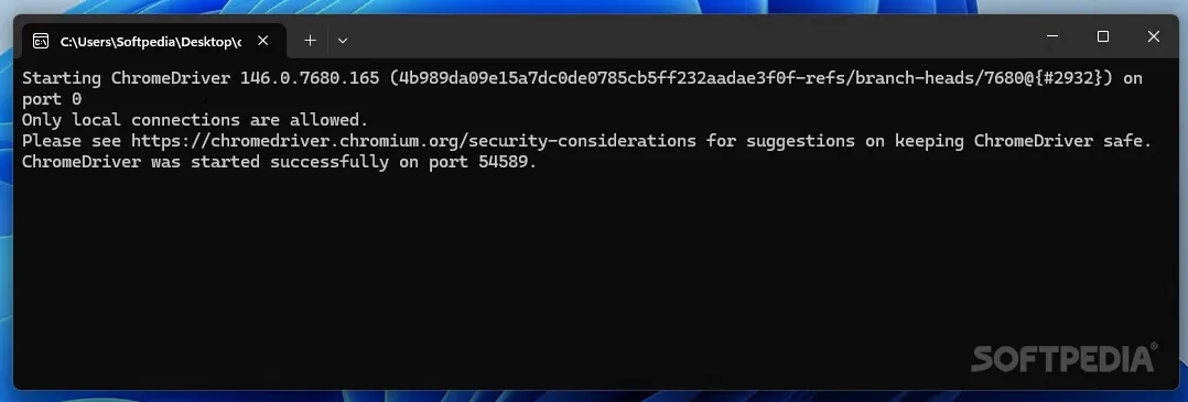 Historical ChromeDriver 146 console on Windows showing local-only connections and successful server startup