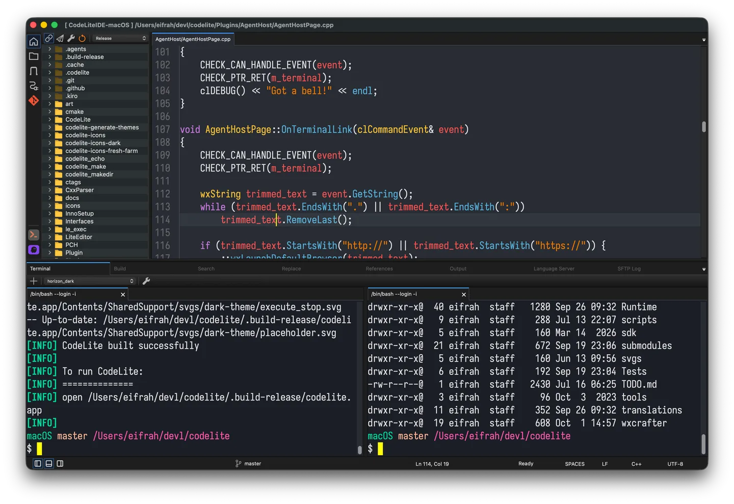 CodeLite on macOS with a project tree, C++ source editor and two terminal panes in a dark workspace