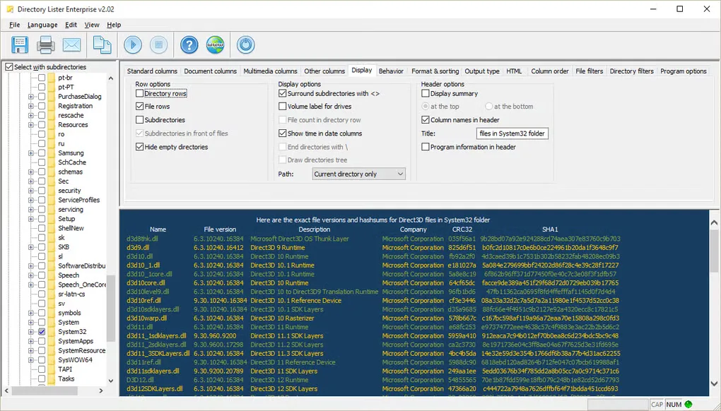 Directory Lister Enterprise v2.02 display options above a listing of System32 files with version, company and hash columns