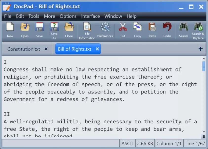 DocPad on Windows with Constitution.txt and Bill of Rights.txt tabs, a plain-text editing area and search toolbar.