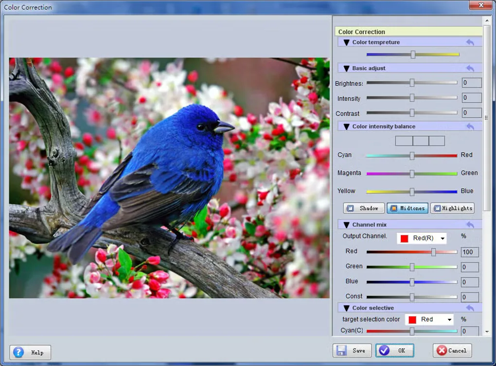 Easyboost Photo Print Color Correction dialog showing a bird photograph and brightness, contrast, color-balance and channel-mix controls