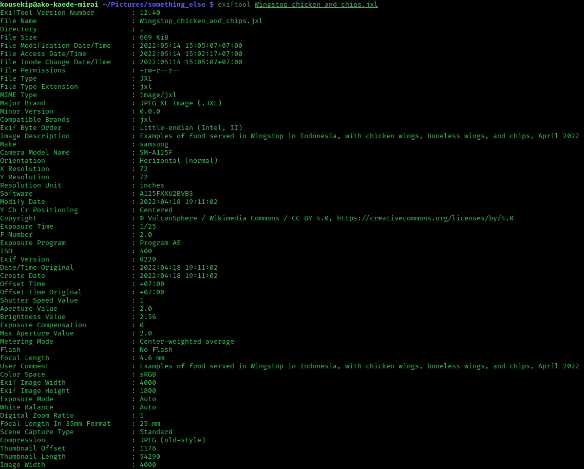 ExifTool 12.40 terminal output listing JPEG XL camera metadata; cross-platform example, not a macOS capture
