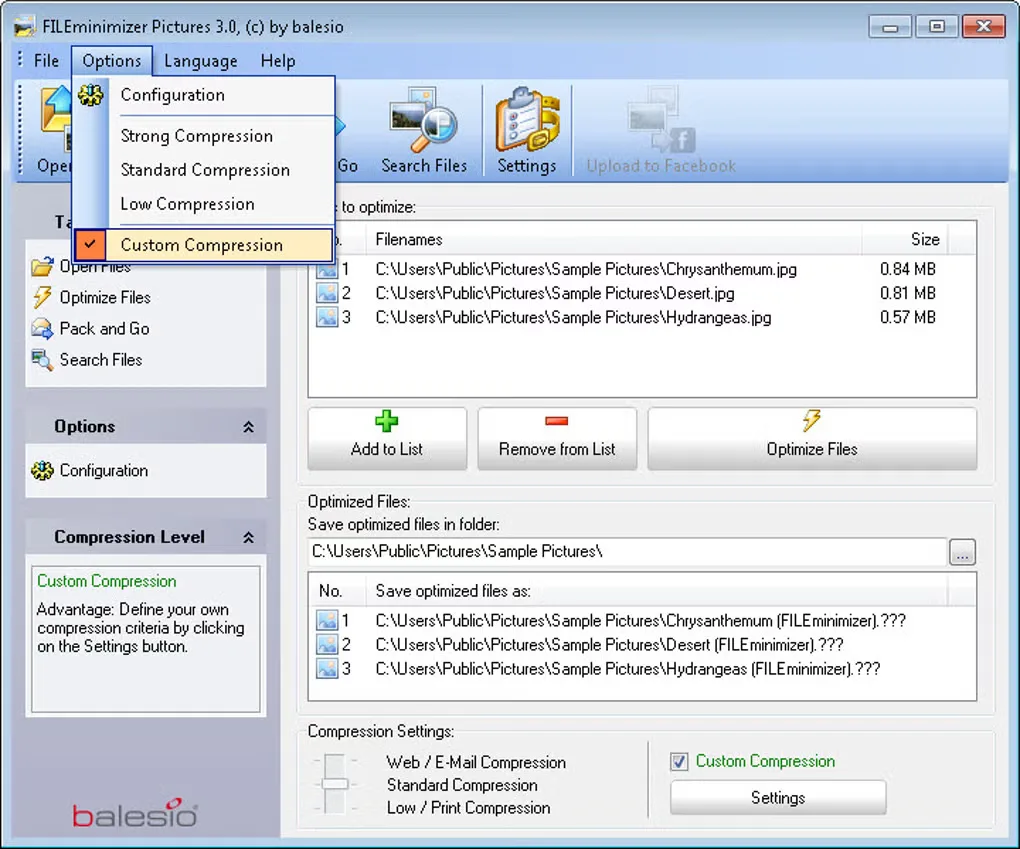 FILEminimizer Pictures 3.0 for Windows with a picture batch, output folder and the compression options menu open