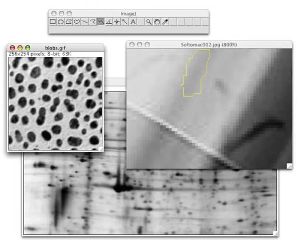 Historical ImageJ Mac interface with a selection toolbar, grayscale sample images and an outlined region at 800% zoom.