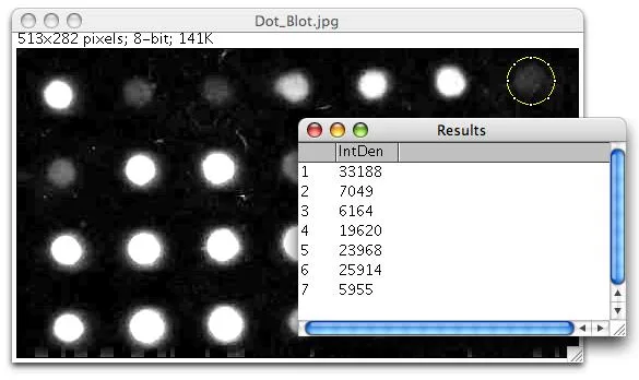 Historical ImageJ dot-blot analysis with a circular selection and integrated-density Results table; macOS window styling.