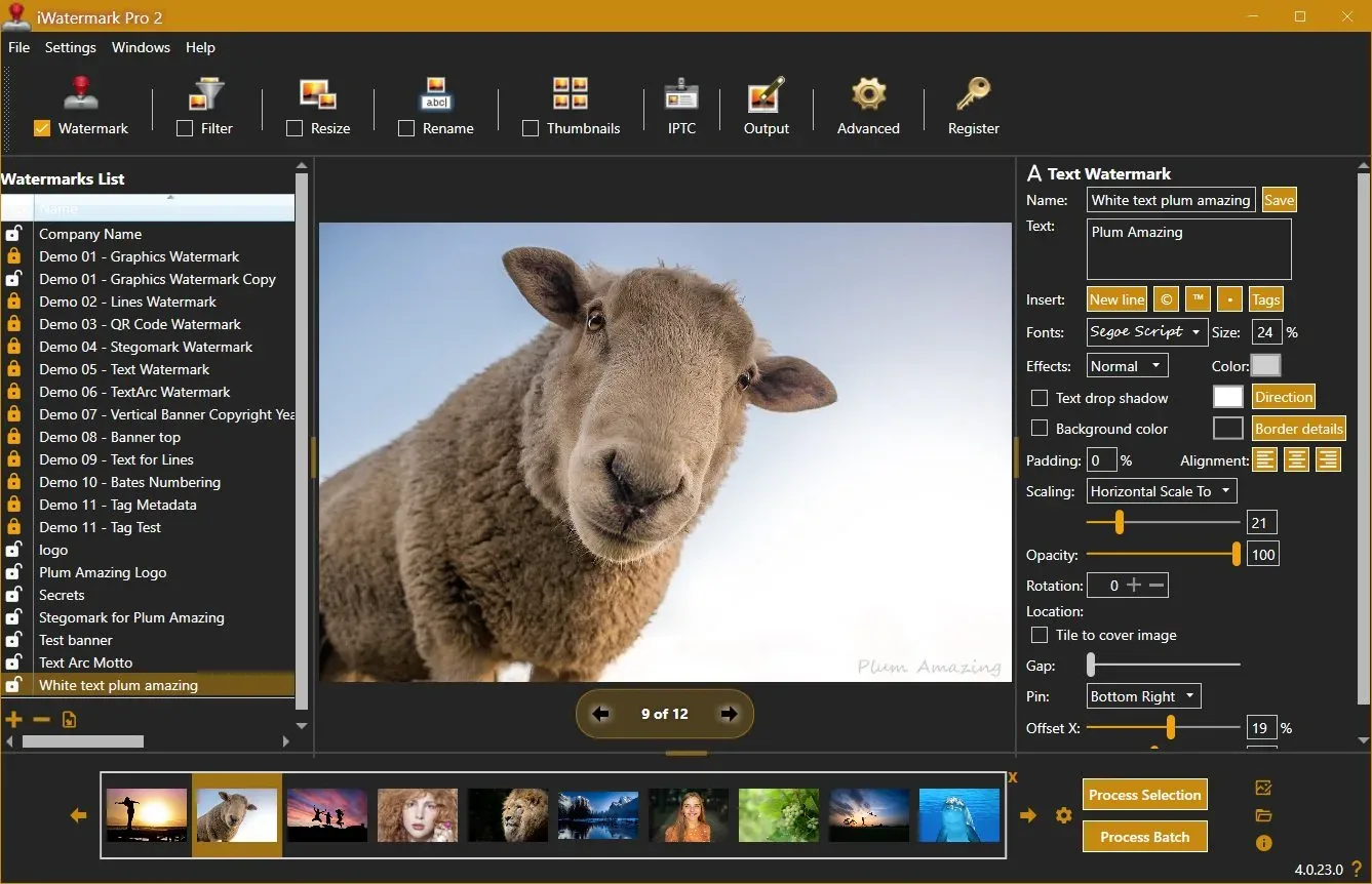 Legacy iWatermark Pro 2 Windows interface with a sheep photo preview, watermark presets and text placement controls; version 4.0.23.0