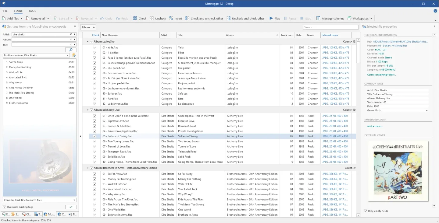 Metatogger publisher preview showing grouped audio tracks, MusicBrainz lookup, selected-file tags and cover artwork.