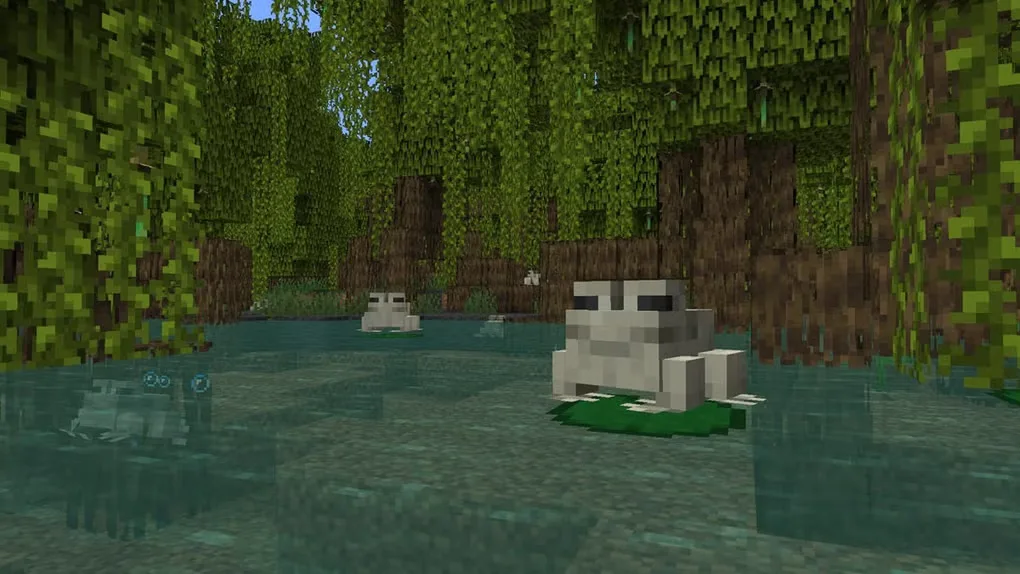 Minecraft gameplay view of frogs on lily pads in a mangrove swamp, shown in the Mac source gallery with the HUD hidden