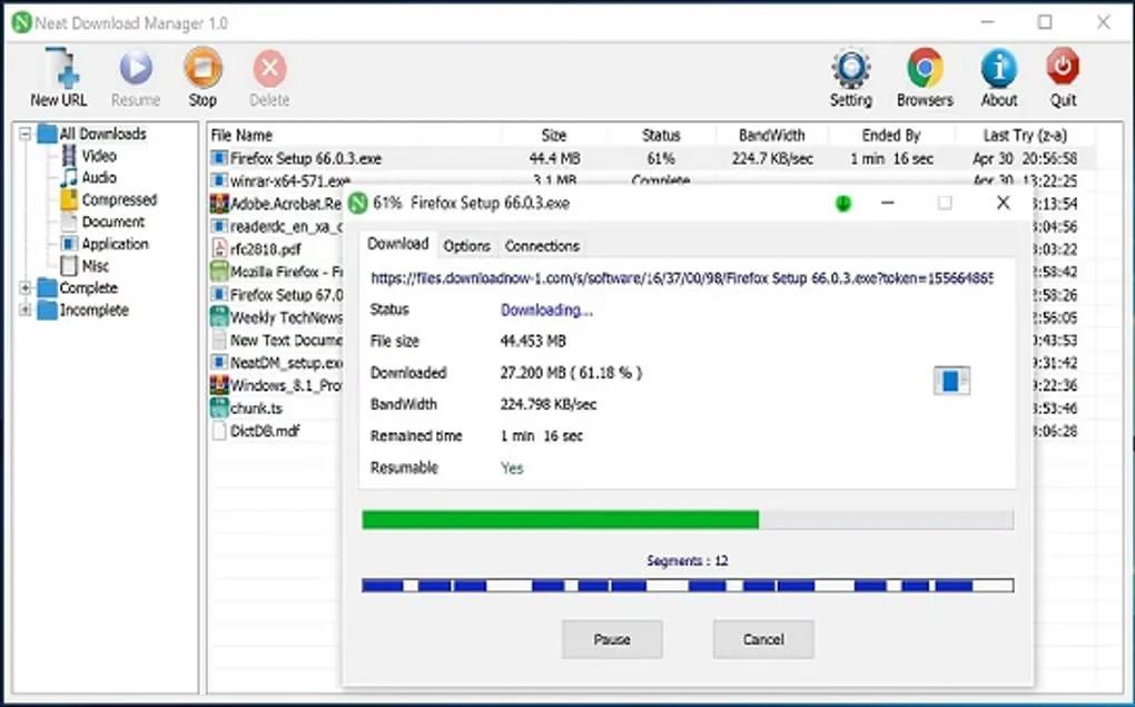 Historical Neat Download Manager 1.0 Windows window with file categories and a download progress dialog showing segmented transfer bars.