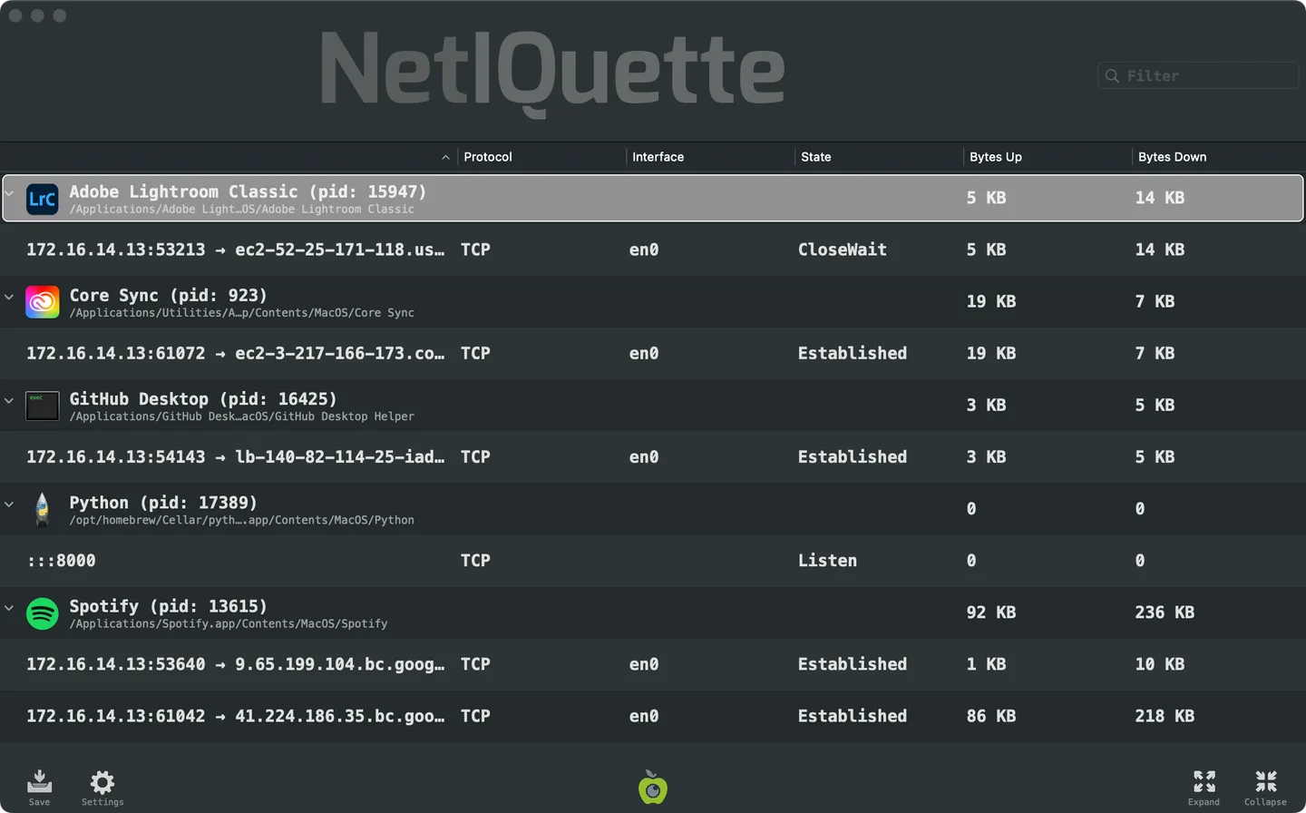 Netiquette on macOS showing per-process TCP connections, a listening Python socket and upload and download byte counts.