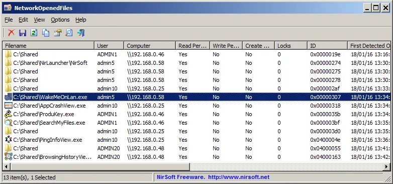 NetworkOpenedFiles window listing shared filenames, users, computers, permission columns and lock counts