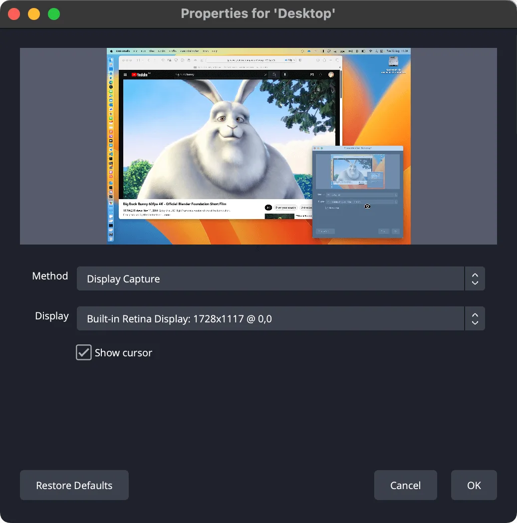 OBS Studio on Mac: Desktop source properties with a display preview, capture method, display selector and cursor option