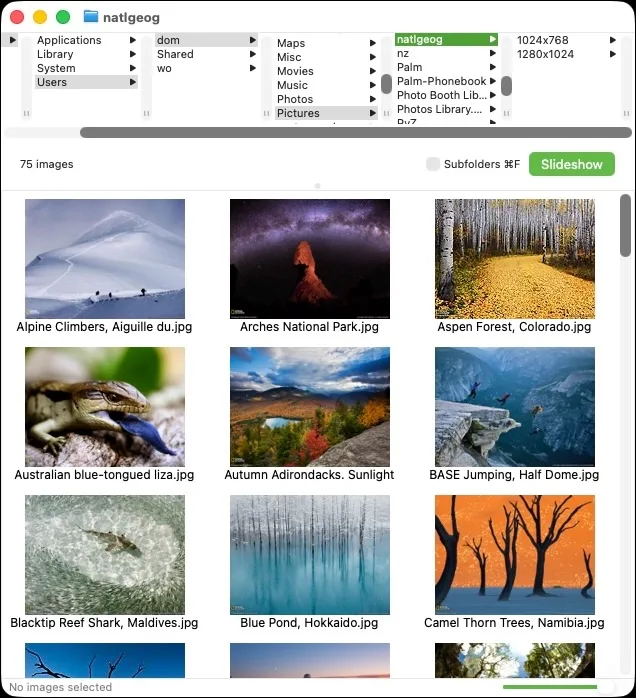 Publisher-provided Phoenix Slides image browser showing folder columns, photo thumbnails and the Slideshow button.