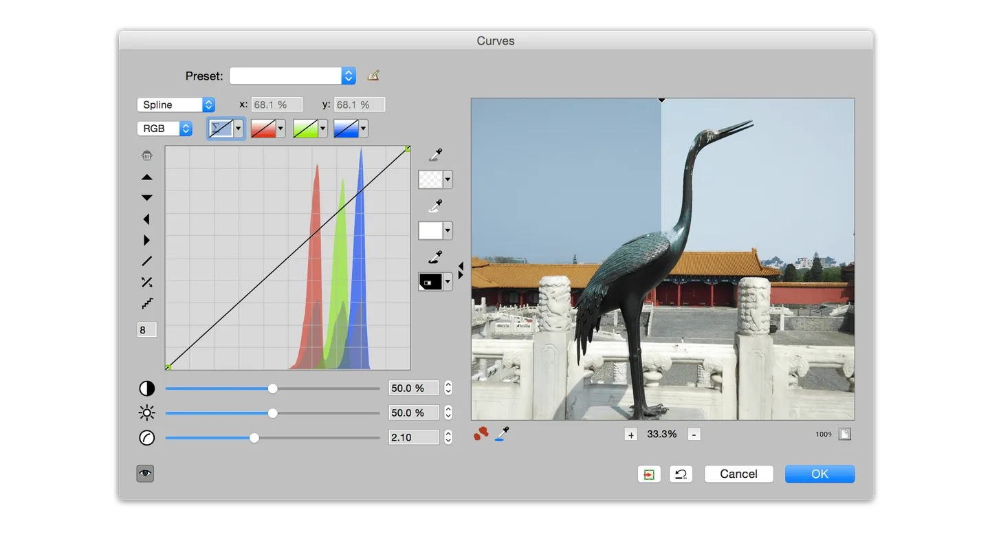 Publisher PhotoLine Curves dialog example with RGB histogram and bird-statue photo preview; macOS-style controls, not a Windows capture.