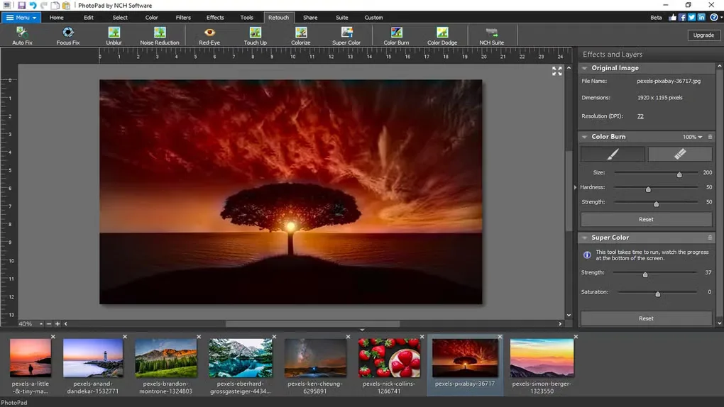 PhotoPad for Windows editing a sunset tree photo, with retouch tools, an Effects and Layers panel, and a bottom photo strip