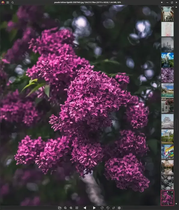 PicView 5.0 on Windows showing a purple-flower photograph with a thumbnail gallery docked on the right.