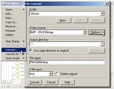 PMView Pro File Convert dialog showing output format, destination folder and existing-file options beside the File Open menu