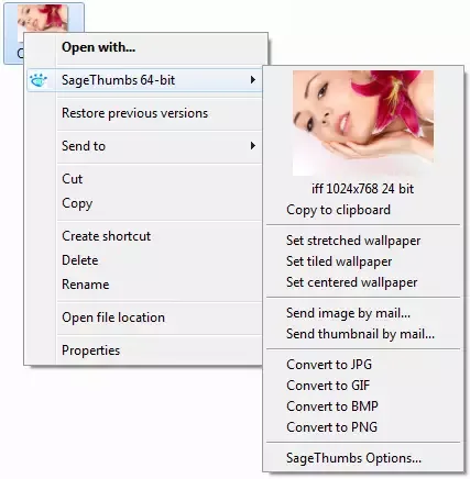 SageThumbs 64-bit submenu in Windows Explorer with an image preview and conversion commands.