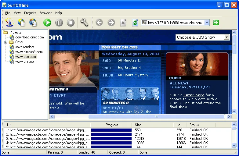Historical SurfOffline Windows main window with project tree, an archived page in the built-in browser and a file download table