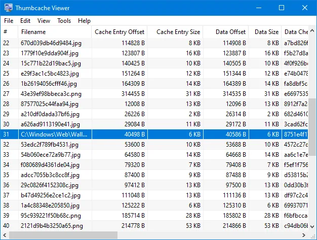 Thumbcache Viewer on Windows showing cached image filenames, cache offsets, entry sizes and checksum columns.