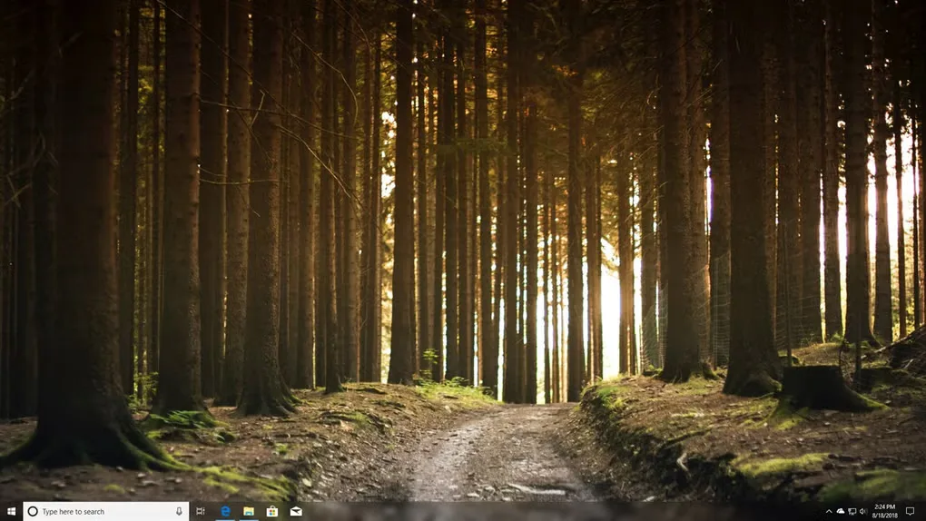 TranslucentTB gallery screenshot showing a translucent Windows taskbar over a forest desktop wallpaper.
