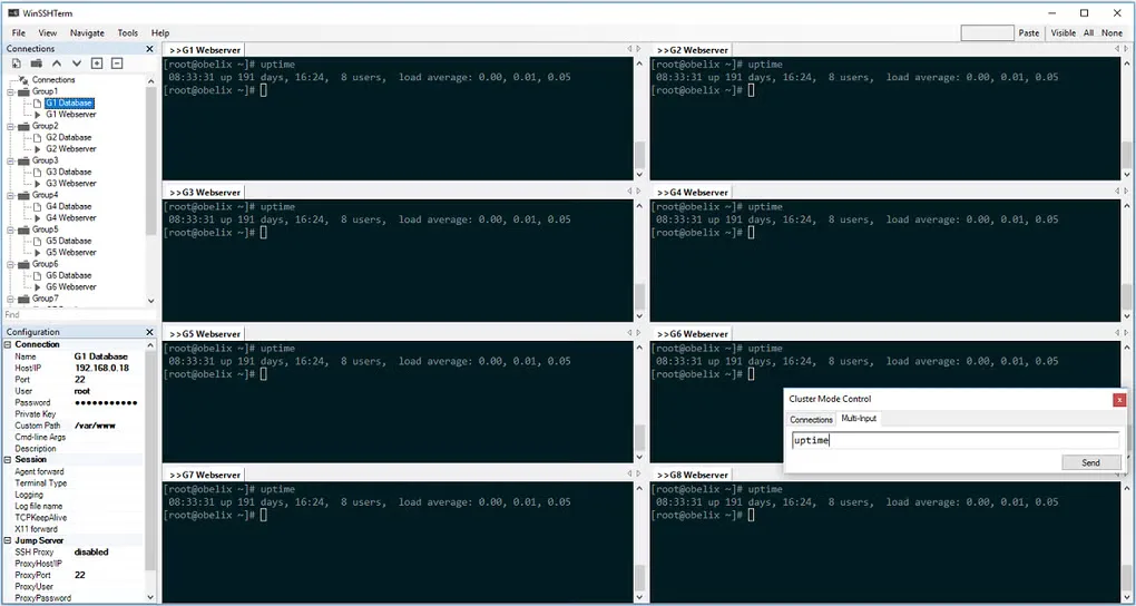WinSSHTerm on Windows showing a connection tree, eight terminal panes and the Cluster Mode Control multi-input dialog.