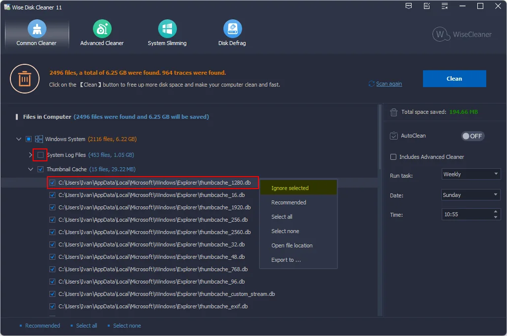 Wise Disk Cleaner 11 documentation screenshot showing scan results, file selection and the Ignore selected context menu.