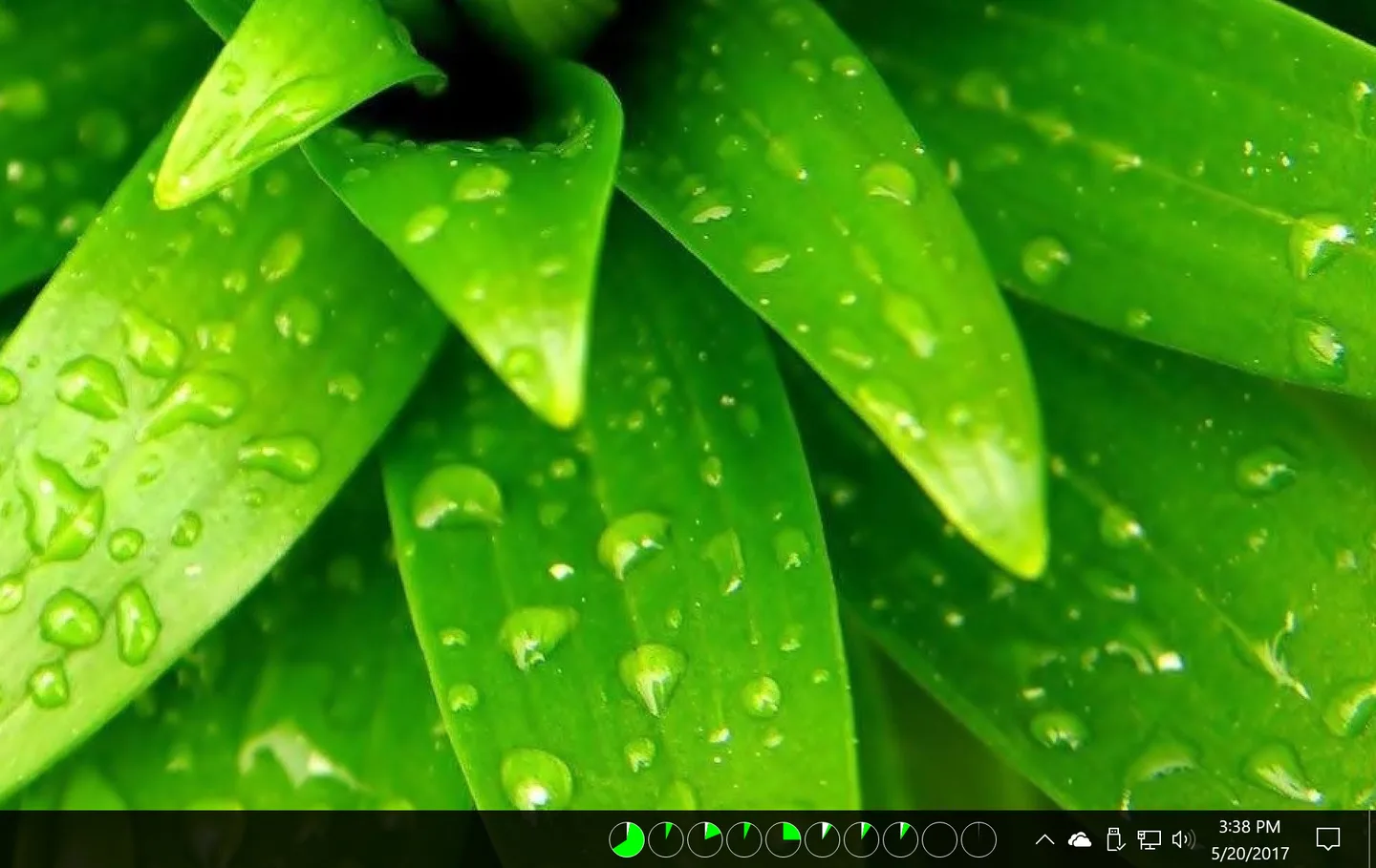 XMeters taskbar meters displayed as green pie charts below a desktop with a leaf wallpaper.