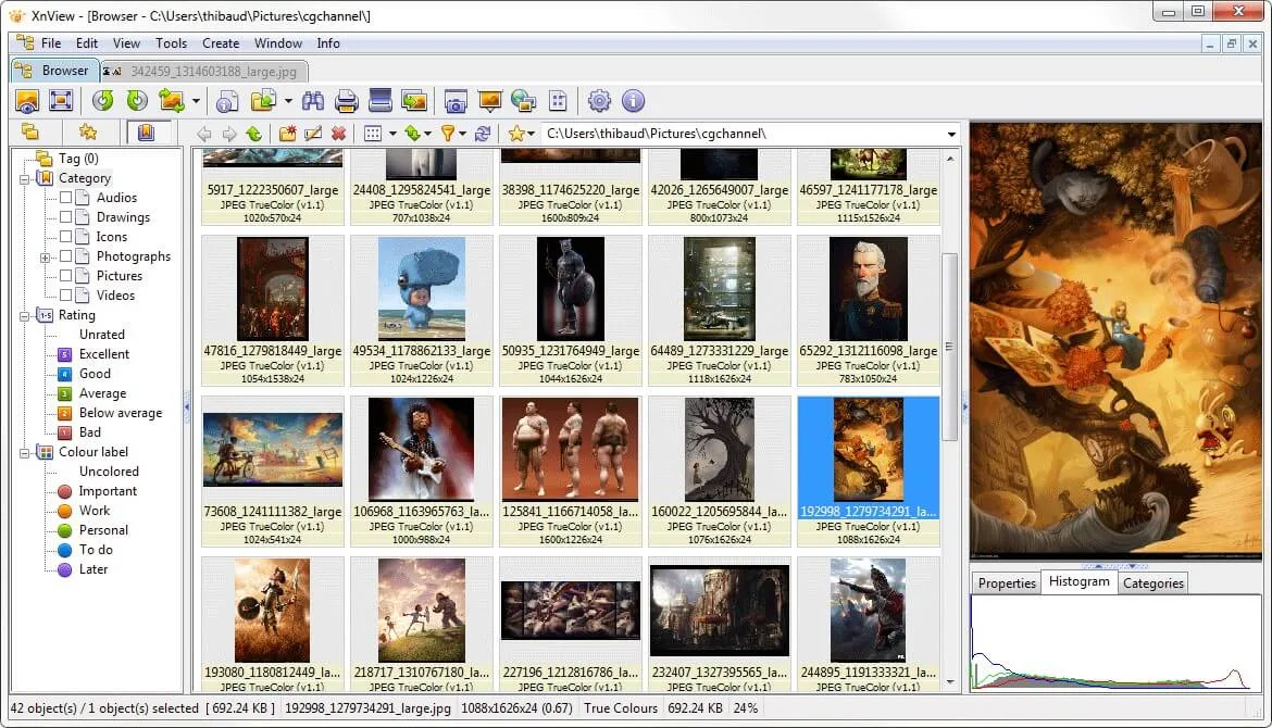 XnView Classic browser with category and rating filters, an image thumbnail grid, a selected artwork preview and a histogram pane.