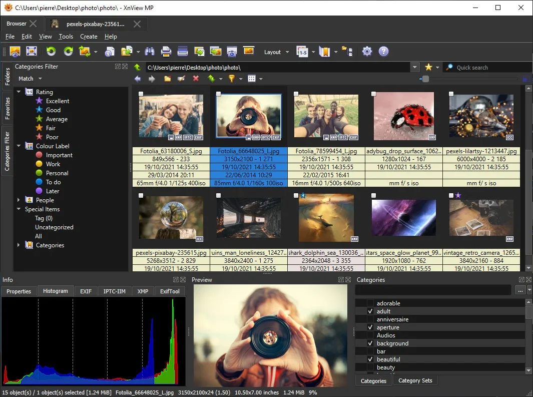XnView MP on Windows showing photo thumbnails, category filters, a histogram and a selected-image preview