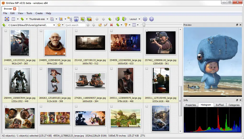 Historical XnView MP v0.51 beta on Windows x64 showing image thumbnails, preview and histogram