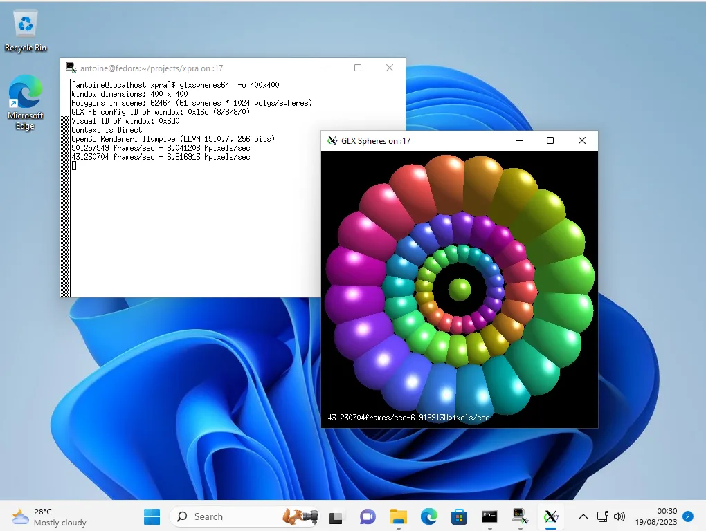 Xpra on Windows 11 displaying a remote Linux xterm terminal and GLX Spheres as separate desktop windows
