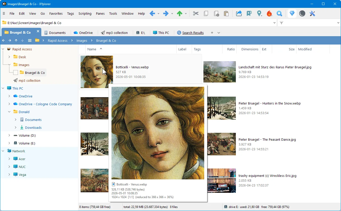 XYplorer for Windows showing folder tabs, a navigation tree, image files and a floating image preview.
